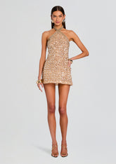 Janneth Embroidered Dress