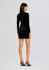 Margie Velvet Mini Dress
