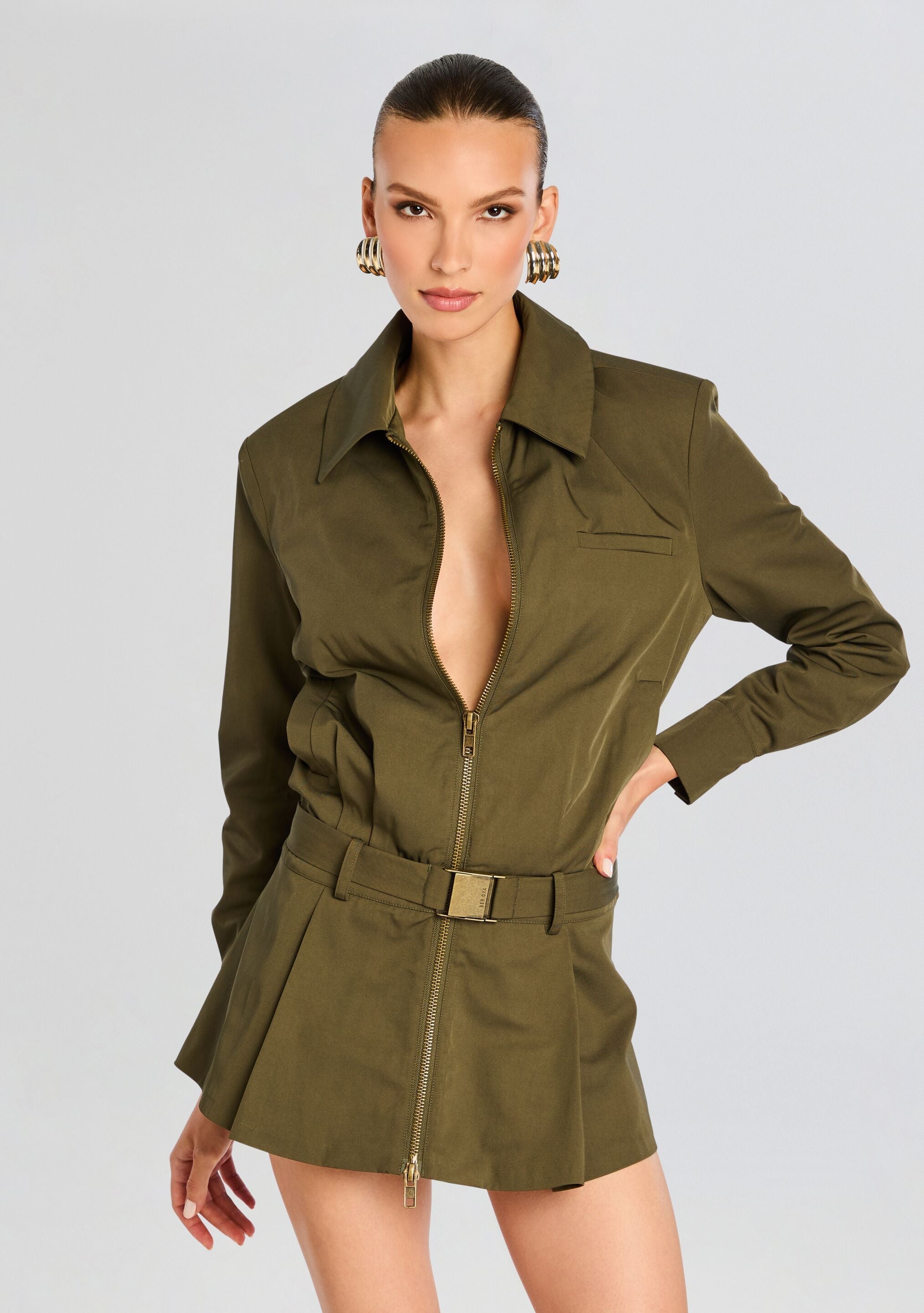 Sanders Twill Dress