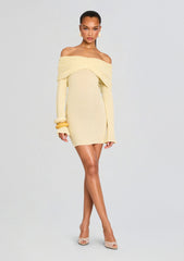 Xen Knit Mini Dress