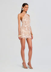 Hayden Dress